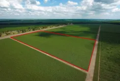 Земля — безпрограшний актив для інвестицій