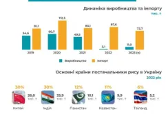 В Україні зберуть близько 11 тис. тонн рису