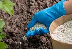 Рівнеазот наростив потужності з виробництва мінеральних добрив