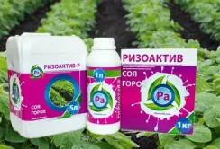 Бізнес-проект «Ризоактив» запрошує 17 лютого на семінар