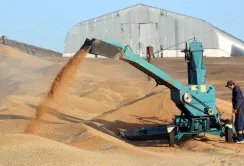 Російські аграрії змушені будуть продавати зерно за невигідними цінами