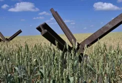 Як росіяни наживаються на українських фермерах