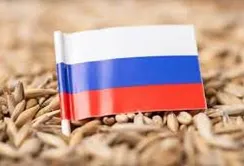 Польща збільшує закупівлю російської агропродукції, – розслідування