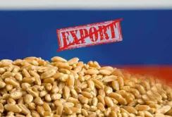 З початку повномасштабної війни понад 40 країн відмовились купляти російське зерно, – Дмитро Соломчук
