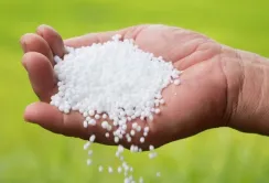 Через дешеву продукцію з росії німецькі виробники припиняють виробництво добрив