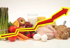 Подорожчання сільгосппродукції має об’єктивні ринкові причини, — Євраліс Семенс Україна