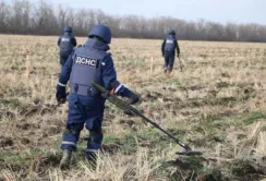 Швидко розмінувати поля Дніпропетровщини не вийде, – ДСНС