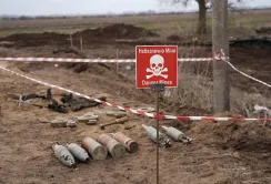 Відновлення міст, сільського господарства та розмінування: про що говорили в Гаазі