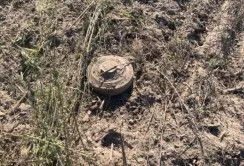 Термінового розмінування потребують біля 800 тис. га сільгоспугідь