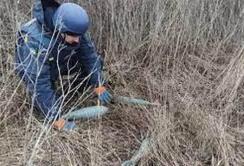 Законопроєкт №7632 пришвидшить розмінування сільгоспземель, – Олександр Гайду