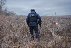 За програмою компенсації розмінування у січні очищено 640 гектарів сільгоспземель