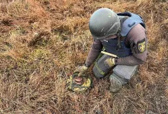 Угорщина долучиться до розмінування України