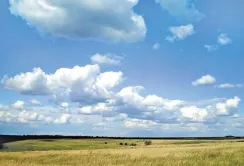 Відкрито кримінальні справи за розорювання 4 заказників на Кіровоградщині