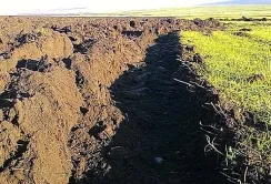 Фермерське господарство на Львівщині самовільно використовувало 12 га землі