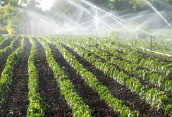 В Україні затвердили довгостроковий план розвитку іригації до 2050 року