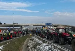 Уряд Румунії підготував пакет допомоги для фермерів, які блокують кордон з Україною