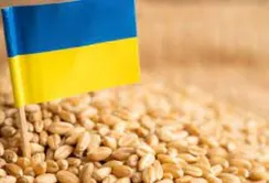Румунія готова допомогти з транзитом українського продовольства