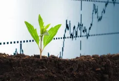 Світовий ринок органічних добрив досягне $11,16 млрд до 2022 року