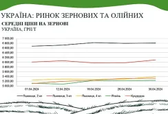 У квітні на ринку пшениці, кукурудзи та олійних культур спостерігалось підвищення вартості, – аналітики