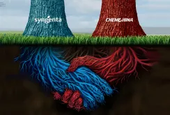 ChemChina завершила придбання Syngenta і проанонсувала пріоритети розвитку