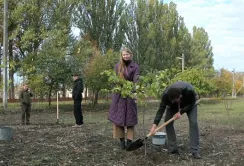 Замість старих тополь — Сади Перемоги