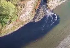 У деяких річках Прикарпаття торік вміст пестицидів перевищував норму в 15 разів