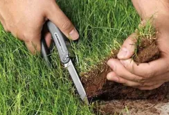На Миколаївщині фермер самовільно засіяв 150 га державної землі