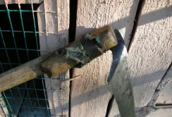 Через «сліпе виробництво» на сільгоспринку суцільні перекоси