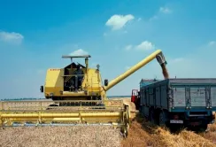 Одесчина планирует собрать лучший урожай зерновых в Украине
