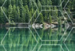 Microsoft виділить $2 млн на стартапи із сільського господарства й екології