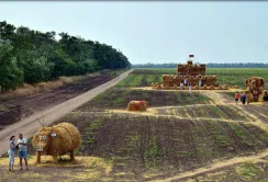 Лайфхаки тижня: "розумне скло", лазерне макування і мандрівка на Сирному потязі