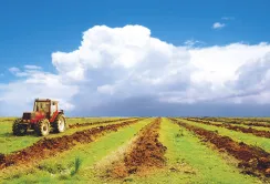 Британці назвали конкуретні переваги українських аграріїв