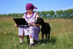 Лайфхаки тижня: "розумні" помічники, суперогірки та знову ця Доллі