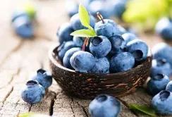 Сезон лохини 2024: аномально ранній початок та рекордно низькі ціни