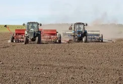 Що сіяти у 2025 році: прогноз від АГРОТРЕЙД