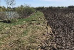 Фермер з Рівненщини заплатив штраф 12,5 тис. грн за розорану прибережну смугу