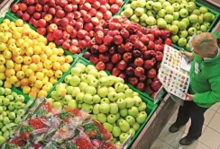 Україна вперше експортувала фрукти до Швеції