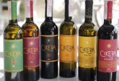 Українська компанія експортуватиме до Японії сікеру