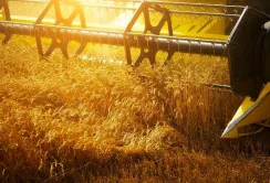 За час дії воєнного стану сільгоспвиробники отримали 36,08 млрд грн «доступних кредитів»