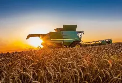 Українське сільське господарство здатне дестабілізувати продовольчу безпеку в ЄС, – заступник міністра Польщі