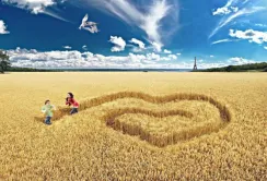 Сільське господарство – один із ключових напрямків діяльності Фонду відновлення України
