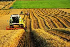 Українські міністри заперечили можливий компроміс щодо сільського господарства на переговорах з ЄС