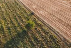 Сільське господарство вперше за 20 років стало збитковим, – Алекс Ліссітса