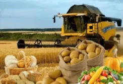 Змінено методику Розрахунку частки сільськогосподарського товаровиробництва