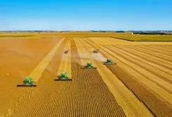 Сільськогосподарські площі Миколаївщини скоротилися на чверть