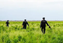Обстеження потребують ще майже 300 тис. га сільськогосподарських земель Миколаївщини