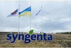 Syngenta потрапила в ТОП-5 найпотужніших імпортерів України