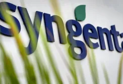Syngenta планує відкрити селекційну станцію в Україні