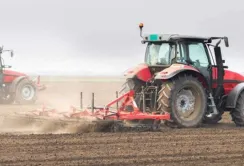Вчені рекомендують продовжувати сівбу озимої пшениці