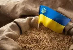 Словаччина дозволила імпорт зерна з України